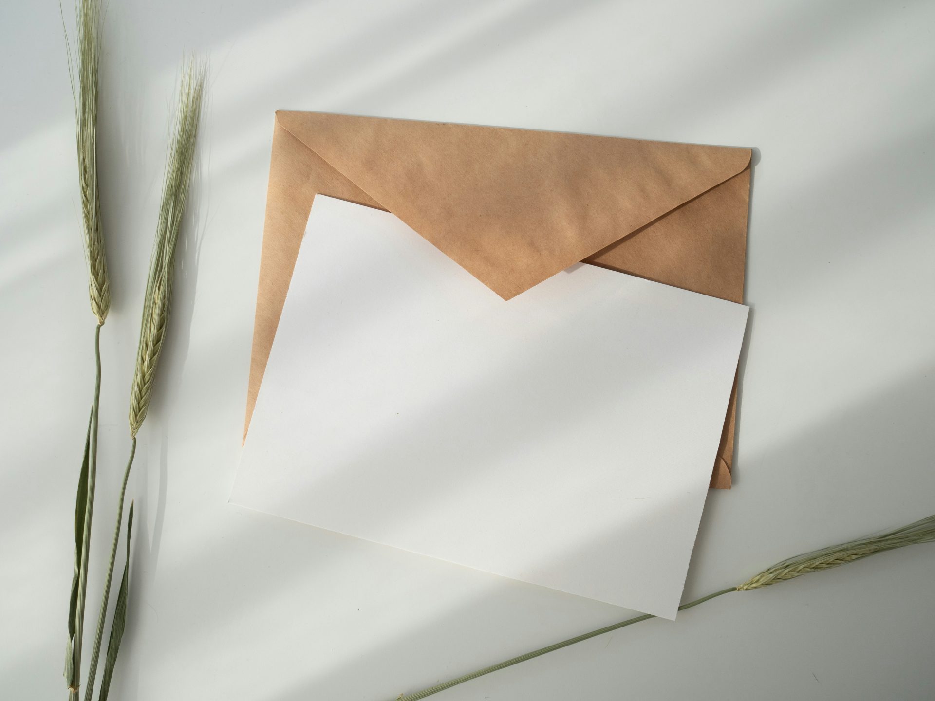 découvrez nos invitations élégantes pour toutes vos occasions spéciales. faites une première impression mémorable avec nos designs uniques.