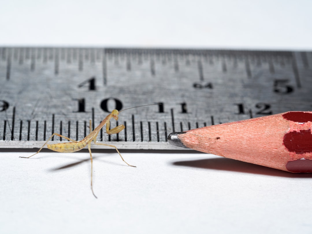 tiny11 : L'astuce ultime pour réduire la taille de votre image d'installation Windows 11 17 tiny11 est une version allégée et optimisée de windows 11, conçue pour offrir des performances rapides et une expérience fluide sur les anciens pc.